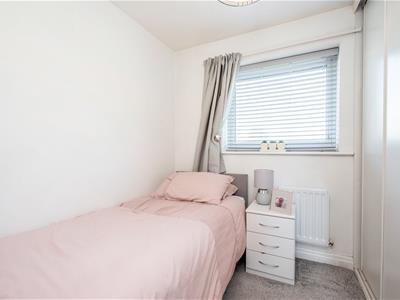 Picture 20